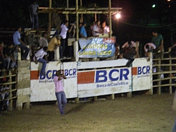 CR_202.jpg CR_202.jpg