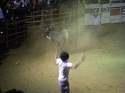 CR_210.jpg CR_210.jpg
