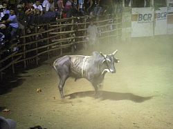 CR_211.jpg CR_211.jpg