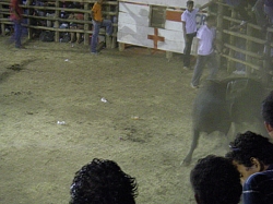 CR_214.jpg CR_214.jpg