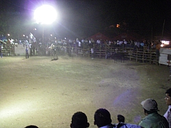 CR_215.jpg CR_215.jpg
