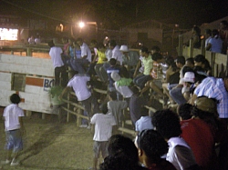 CR_216.jpg CR_216.jpg