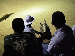 CR_220.jpg CR_220.jpg