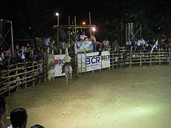 CR_221.jpg CR_221.jpg