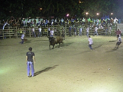 CR_222.jpg CR_222.jpg