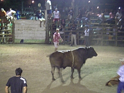 CR_224.jpg CR_224.jpg