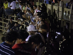 CR_225.jpg CR_225.jpg