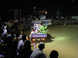 CR_231.jpg CR_231.jpg