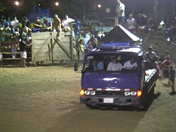 CR_233.jpg CR_233.jpg