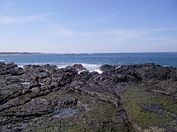 CR_249.jpg CR_249.jpg