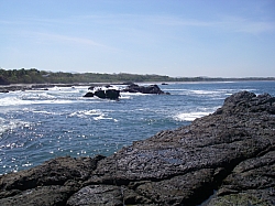 CR_250.jpg CR_250.jpg
