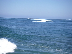 CR_251.jpg CR_251.jpg