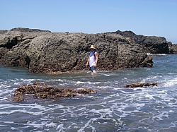 CR_254.jpg CR_254.jpg