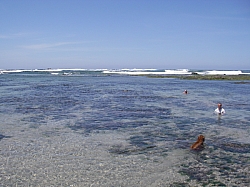 CR_256.jpg CR_256.jpg