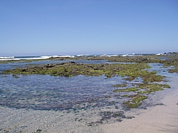 CR_257.jpg CR_257.jpg