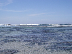 CR_258.jpg CR_258.jpg