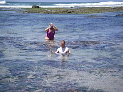 CR_259.jpg CR_259.jpg