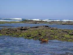 CR_260.jpg CR_260.jpg