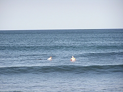 P3200006.jpg P3200006.jpg