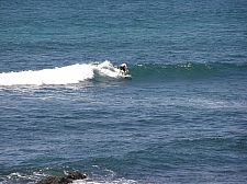 P3130003.jpg