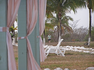 P1040008.JPG