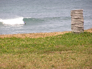 P1050011.JPG